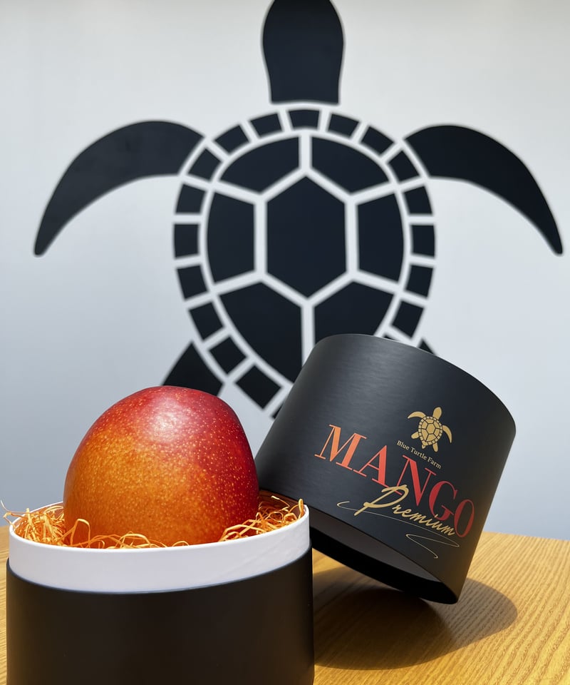 宮古島産「最高級プレミアム・完熟マンゴー」1大玉 限定品 | Blue