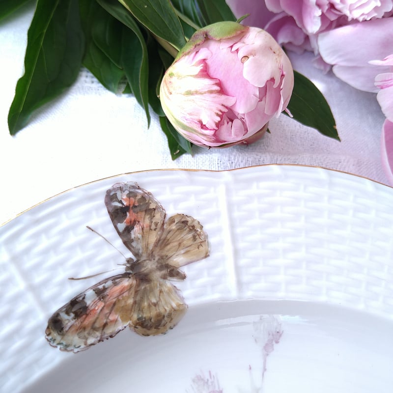1924年以前Meissenのアザミと蝶🦋自然主義絵付けのお皿は直径約25㎝D