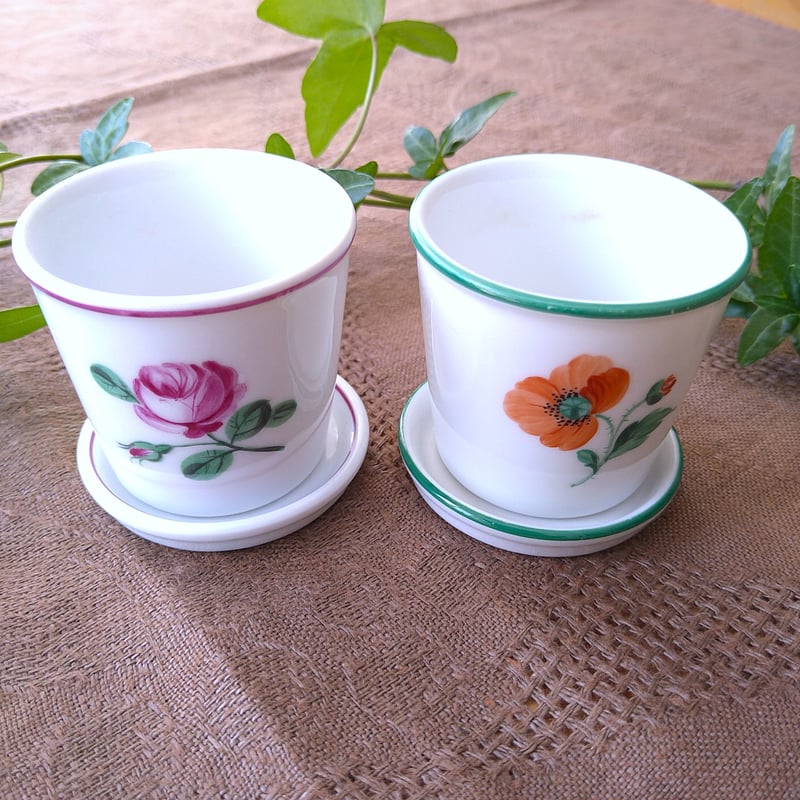 Augartenアウガルテンのオールドウィンナーローズ🌹のティーサーヴィス