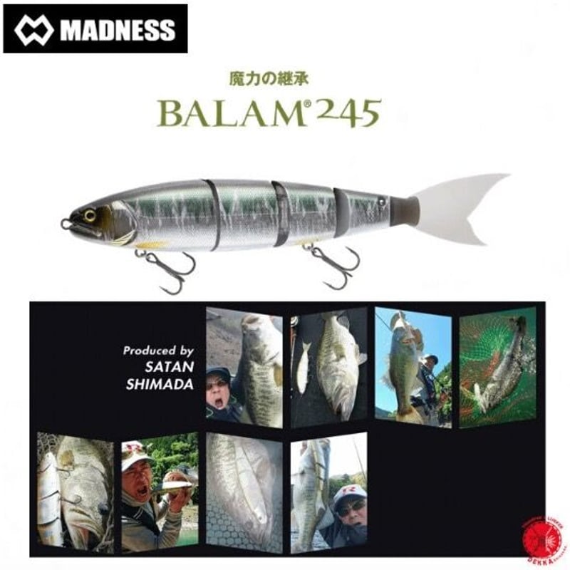 MADNESS JAPAN / マドネスジャパン 【 BALAM 245 / バラム 245