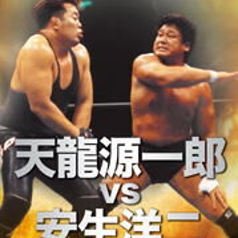 プロレス名勝負コレクション vol.15 天龍源一郎 vs 安生洋二