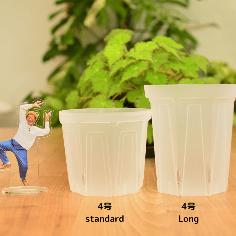 透明鉢《 NEgamieru 》standard 4号 4鉢セット | 花森家-1号店-