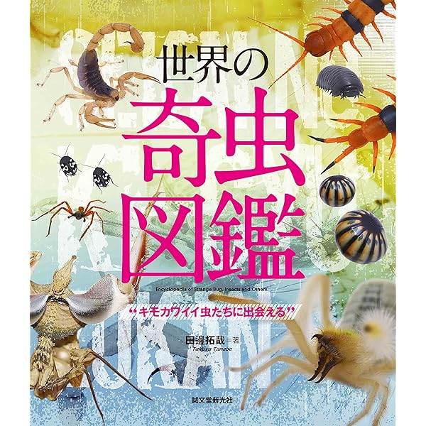 タランチュラ&サソリ (節足動物ビジュアルガイド) | 相原 和久, 秋山