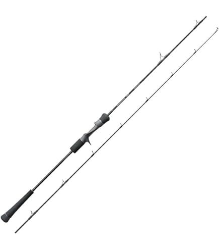 Amazon | 天龍(Tenryu) ロッド ホライゾンLJ HLJ621S-FML | 天龍