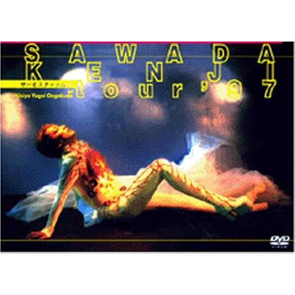 Amazon.co.jp: ワイルドボアの平和 SHOGATSU CONCERT 2007 [DVD