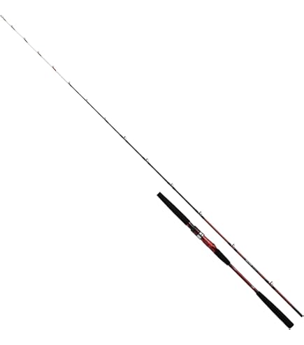 Amazon | ダイワ(DAIWA) 船竿 A-ブリッツ ネライ・E MH-210・E 釣り竿