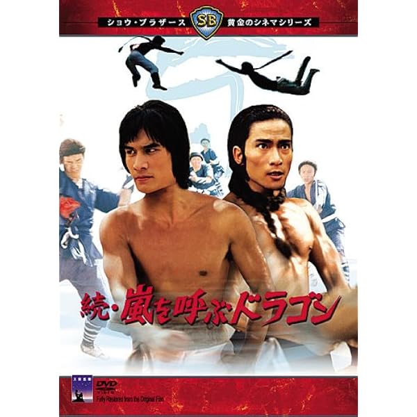 Amazon.co.jp: 少林拳対五遁忍術 [DVD] : チェン・ティエンティー