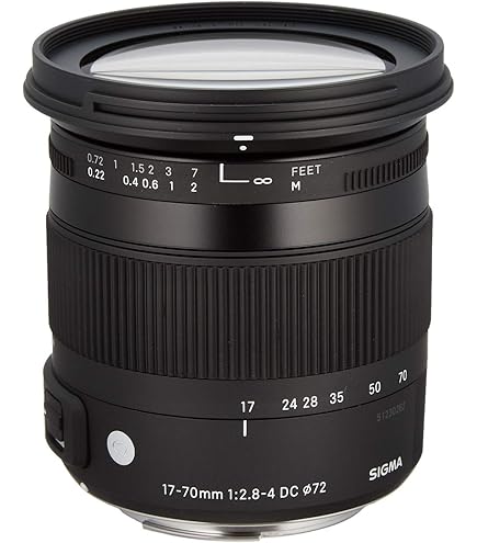 Amazon.co.jp: シグマ 24-60mm F2.8 EX DG ニコン用 : 家電＆カメラ