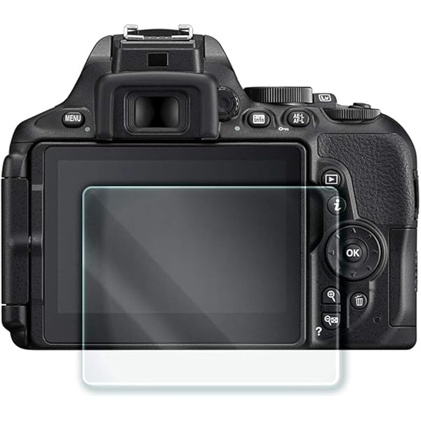 Amazon.co.jp: 今すぐ使えるかんたんmini Nikon D5500 基本&応用 撮影