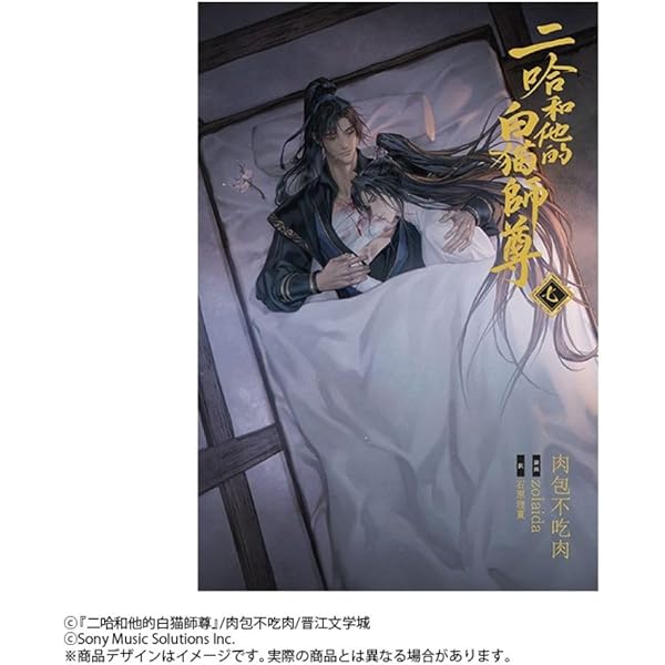 Amazon.co.jp: 小説「二哈和他的白猫師尊」第6巻（ハスキーとかれの