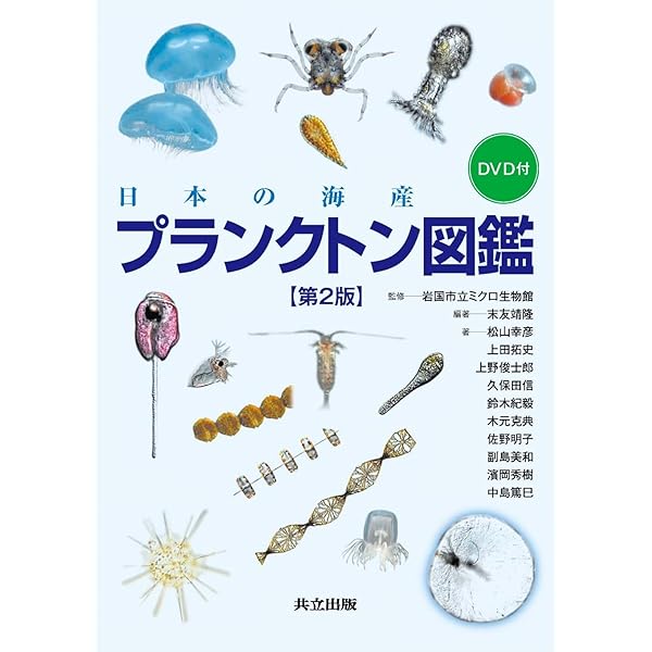 海岸動物の生態学入門: ベントスの多様性に学ぶ | 日本ベントス学会