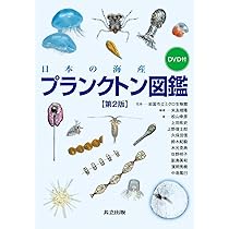 海岸動物の生態学入門: ベントスの多様性に学ぶ | 日本ベントス学会