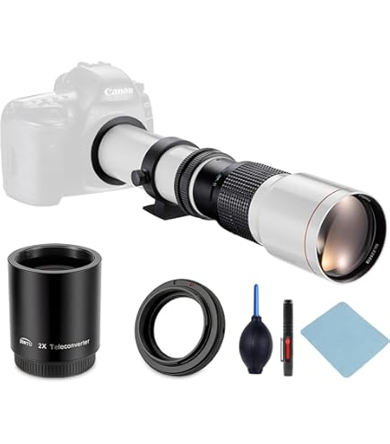 Amazon.co.jp: シグマ 170-500mm F5-6.3 APO DG ペンタックス用 : 家電