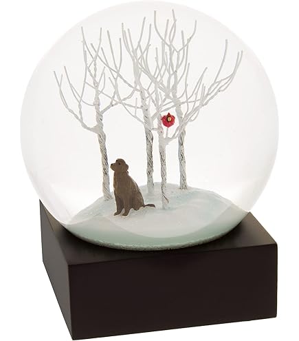 Amazon.co.jp: CoolSnowGlobes スノードーム 四季 ブラック BT236_SPRG