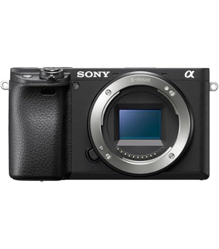 Amazon | SONY ミラーレス一眼カメラ α NEX-7 ボディ ブラック NEX-7