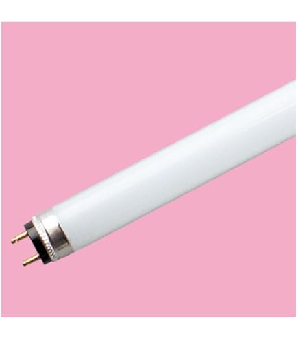 Amazon | 東芝 HLネオルックス 拡散形 220W NH220FLN | 東芝(TOSHIBA