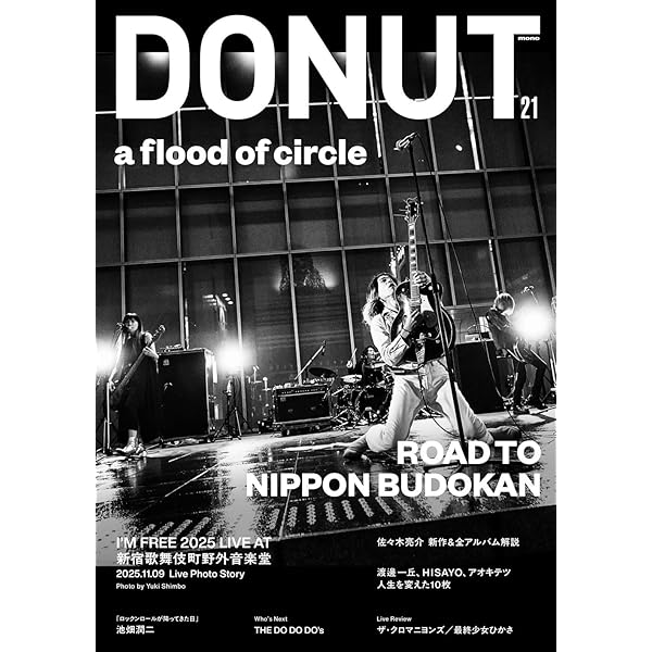 Amazon.co.jp: 夜空に架かる虹 - a flood of circle: ミュージック