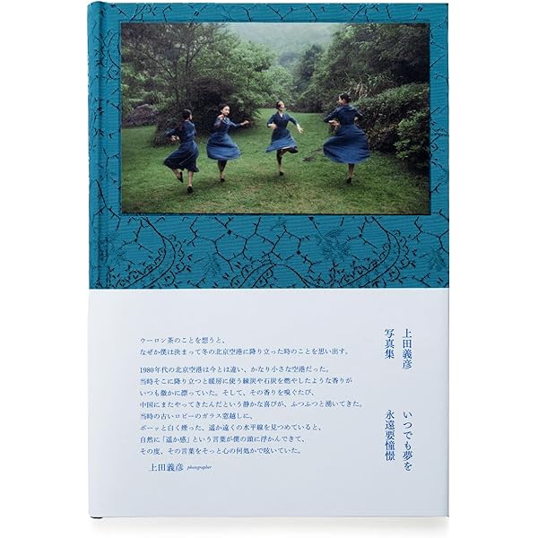 上田義彦写真集 落水荘・タリアセン (frank lloyd wright fallingwater