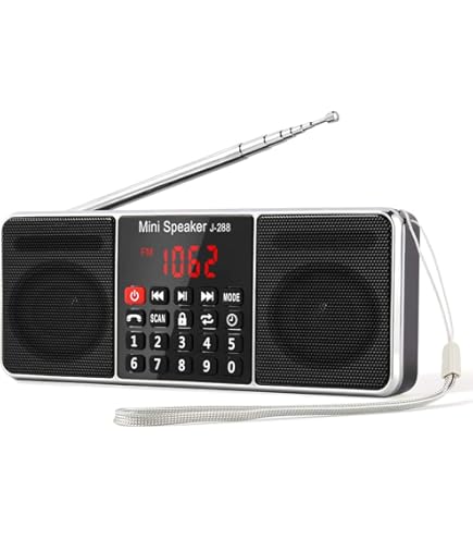 Amazon.co.jp: SONY FMステレオ/AMステレオラジオFMラジオ SRF-A300