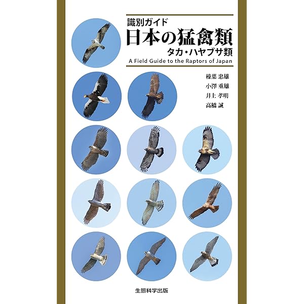 図鑑日本のワシタカ類 | 森岡 照明 |本 | 通販 | Amazon