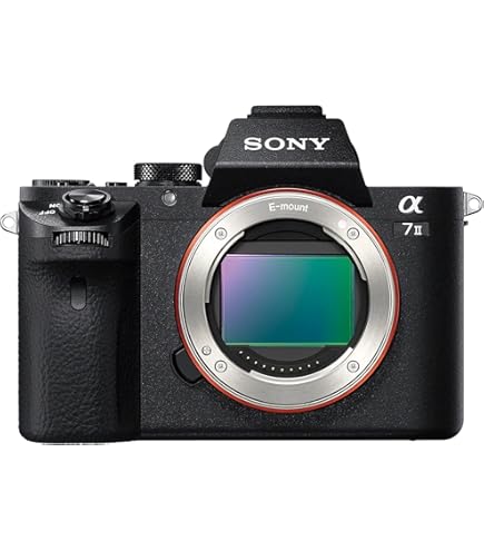 Amazon.co.jp: SONY ミラーレス一眼 α NEX-5R パワーズームレンズ