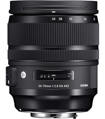 Amazon.co.jp: Canon EF 24-70mm f/2.8L USM 標準ズームレンズ Canon
