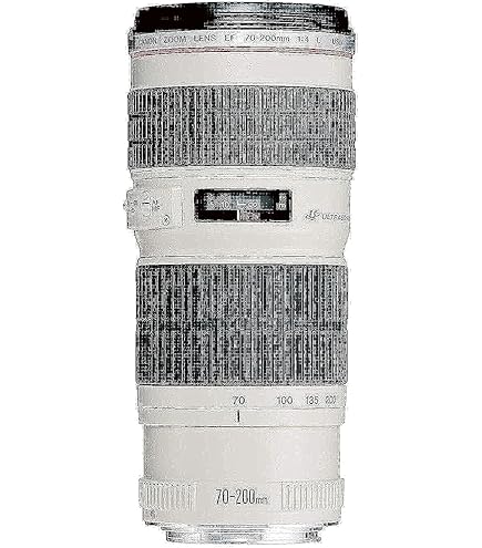 Amazon.co.jp: Canon ZOOM LENS EF 80-200mm F2.8 F/2.8 L : 家電＆カメラ