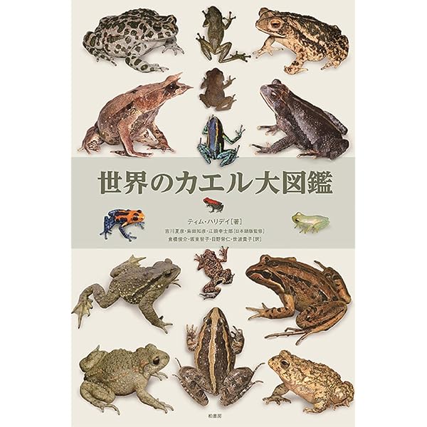 日本カエル図鑑 改訂版 | 前田 憲男, 松井 正文 |本 | 通販 | Amazon