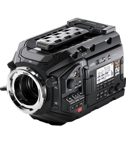 Amazon | Sharp シャープ VL-NZ10 miniDV 液晶ビューカム