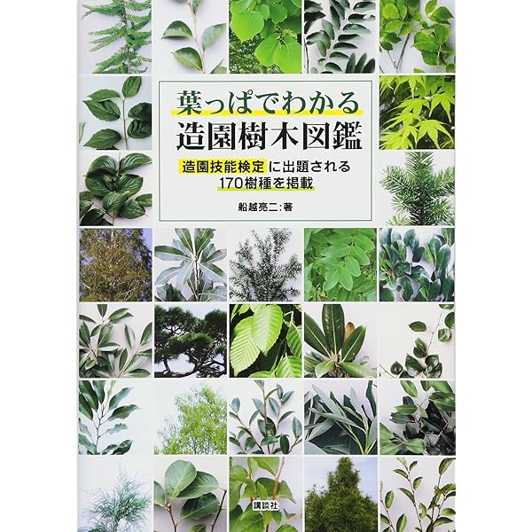 竹垣のデザイン | 鈴木 おさむ, 吉河 功 |本 | 通販 | Amazon