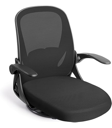 Amazon｜【人間工学】 座椅子 1人掛け オフィス座椅子 回転座椅子