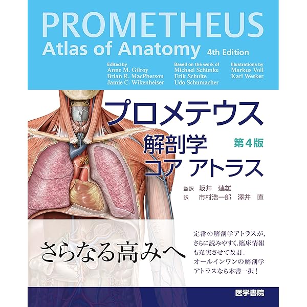 解剖学講義 | 伊藤 隆, 高野 廣子 |本 | 通販 | Amazon