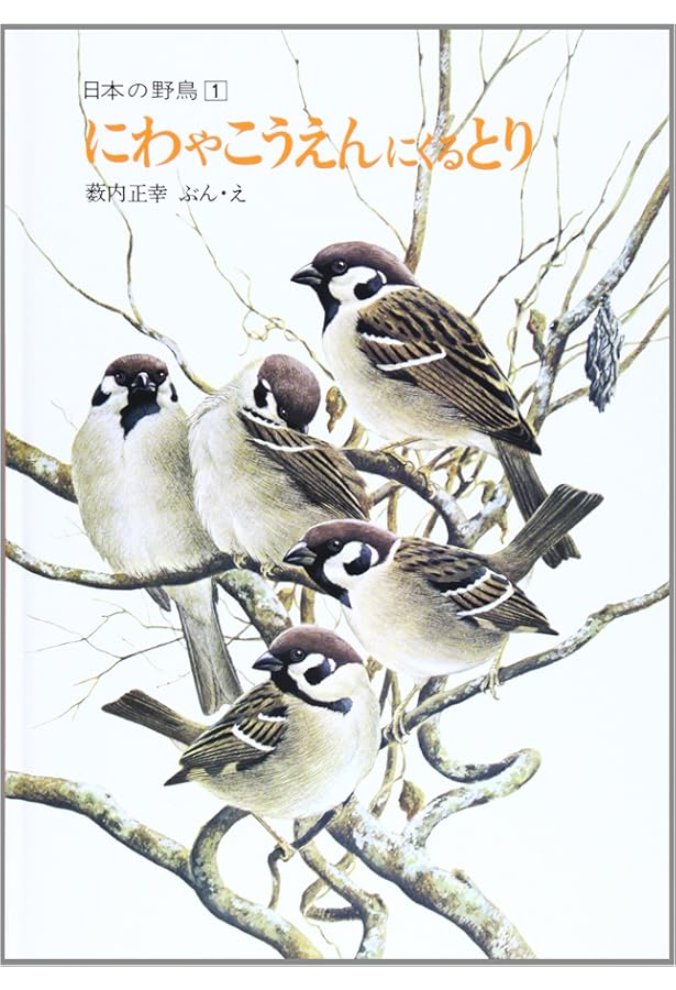 ペーパーバック版 薮内正幸 日本の野鳥セット 全6冊 (福音館の科学