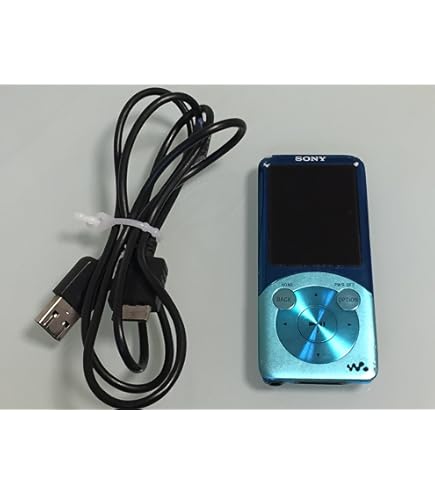 Amazon.co.jp: SONY ウォークマン Eシリーズ FM付 [メモリータイプ