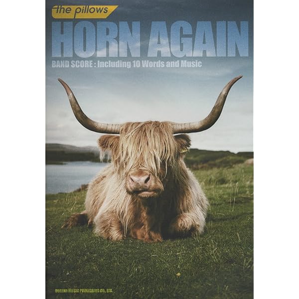 BS ザピロウズ/Rock stock & too smoking the pillows (BAND SCORE