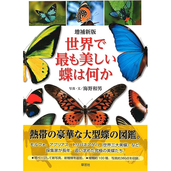 アゲハチョウの世界：その進化と多様性 | 吉川 寛, 海野 和男 |本