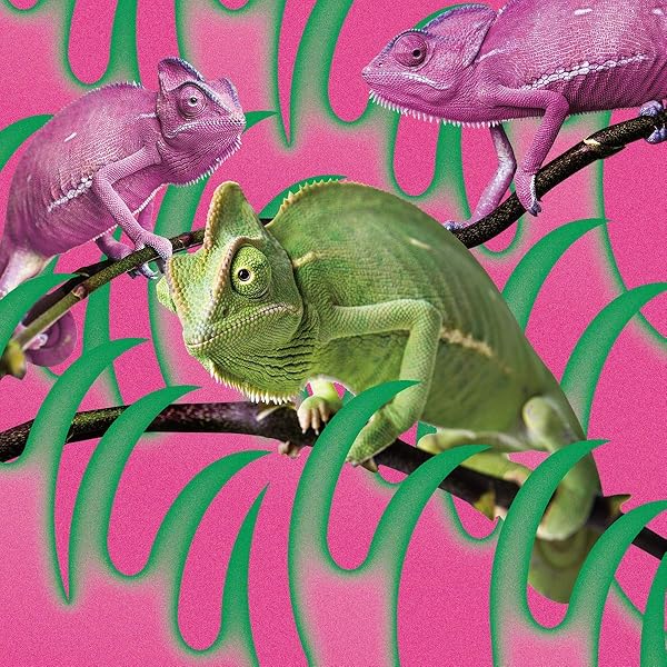 Amazon.co.jp: THE PARK (通常盤): ミュージック