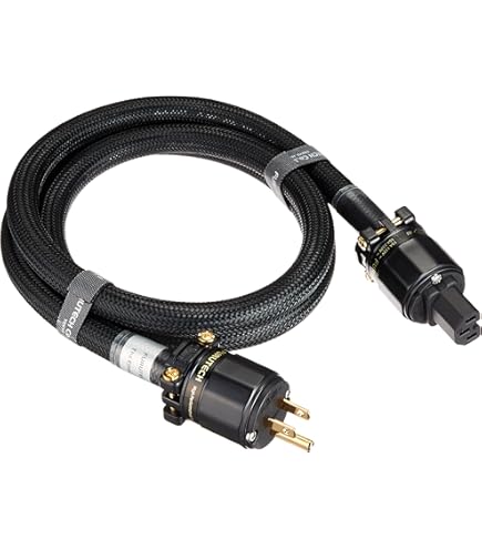 Amazon | FURUTECH ADL 電源ケーブル The Astoria 1.5m 1本 THE