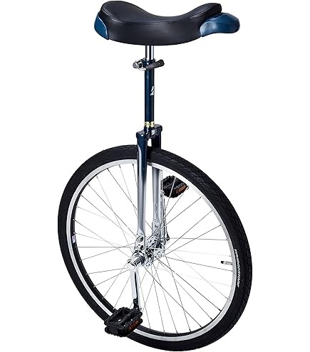 Amazon | どのスポーツのトレーニングにも一輪車は最適。 バランス感覚