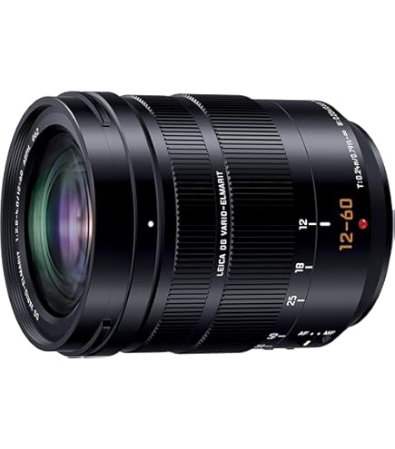 Amazon | パナソニック 望遠ズームレンズ マイクロフォーサーズ用