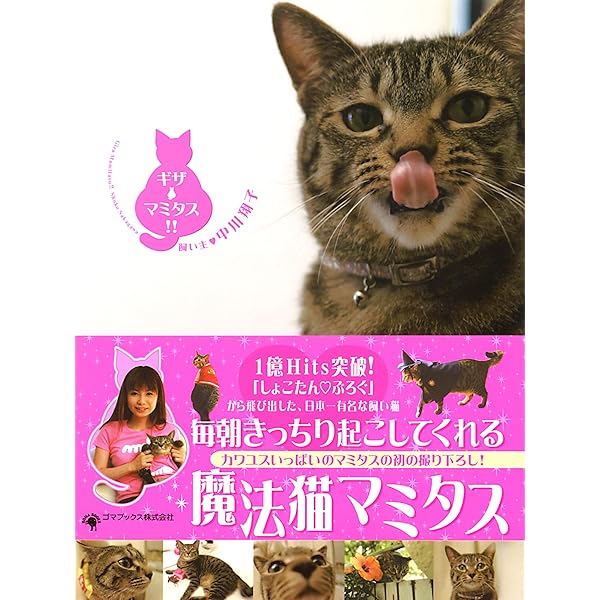 Amazon.co.jp: しょこたん☆ぶろぐ2 eBook : 中川翔子: Kindleストア