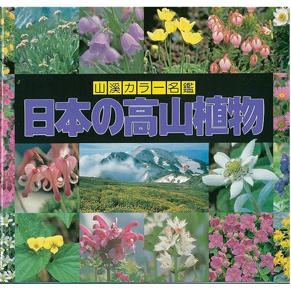 Amazon.co.jp: 増補改訂新版 日本の樹木 (山溪カラー名鑑) : 編・解説