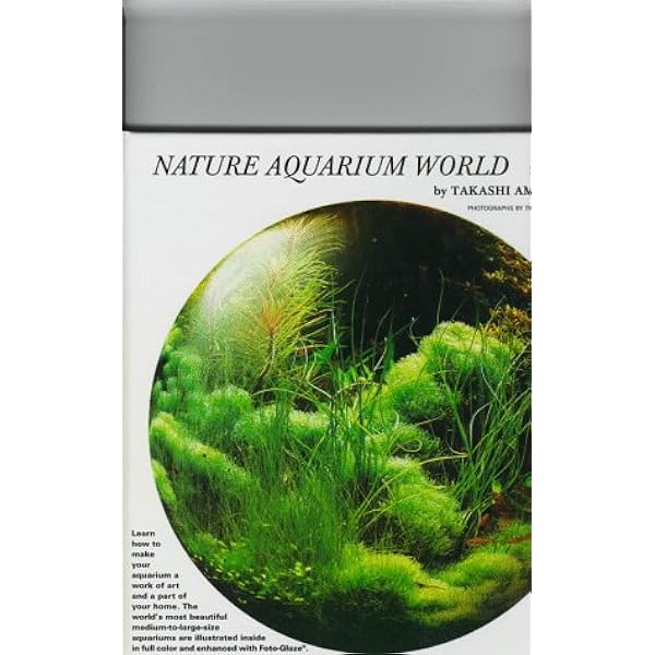 Nature Aquarium World: How You Can Make A Most Beautiful Aquarium