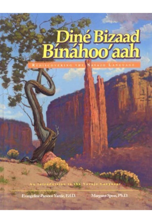 Amazon.com: Dine Bizaad Binahoo'aah: Rediscovering the Navajo