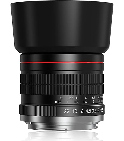 Amazon.com : Canon EF 85mm f/1.8 USM Telephoto Lens : Camera
