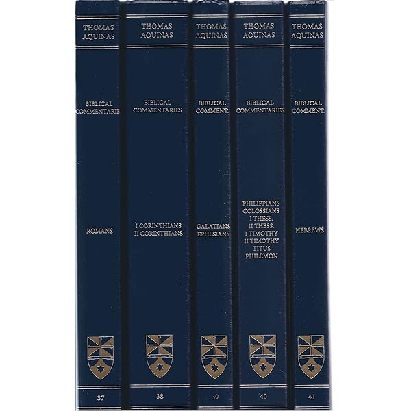 Amazon.com: El Croquis 166: Caruso St John 1993-2013 (English and