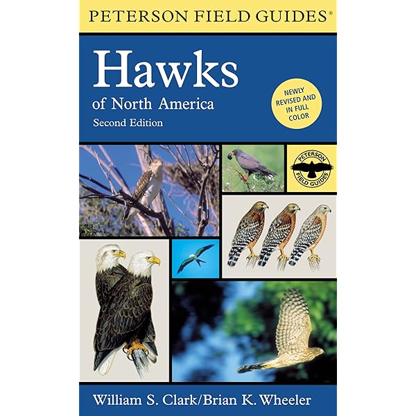 Amazon.com: Jeffrey Whiting's Owls of North America (Whiting's