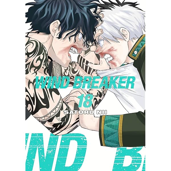 WIND BREAKER 20: Nii, Satoru: 9798888776193: Amazon.com: Books