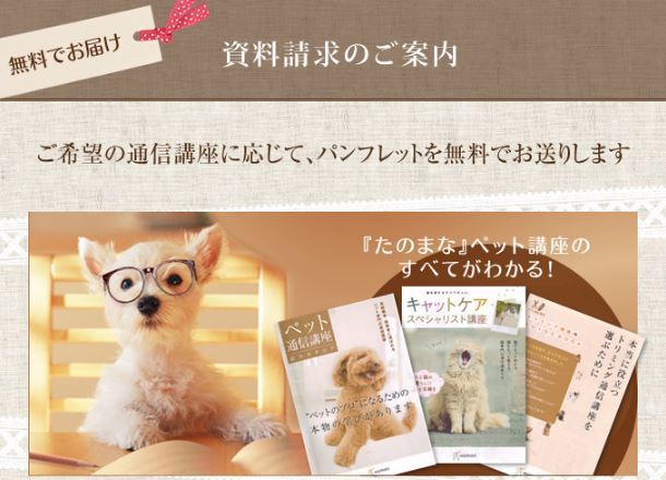 通信】ドッグトレーナー講座 | ヒューマンアカデミー（通信） 通信講座