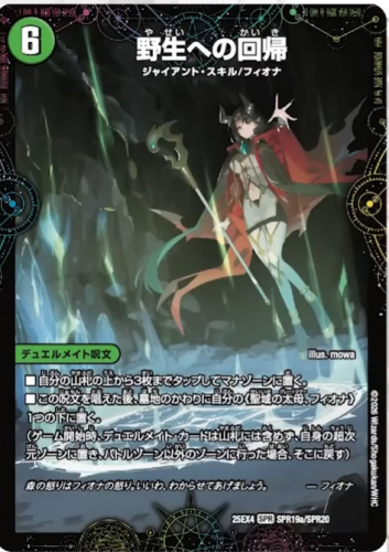 赤ローブの人】《聖域の太母、フィオナ》とそのデュエルメイト3種が